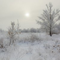 Морозное утро :: Александр Никишков