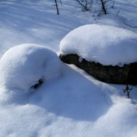 Снежно. :: Лев Колтыпин 