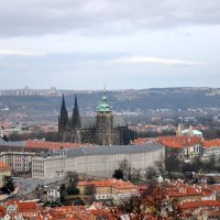 Прага, Собор Святого Вита. :: Игорь 