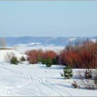 Признаки весны :: Николай Дементьев 