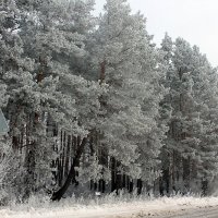 Мартовская зарисовка :: Евгений Агудов