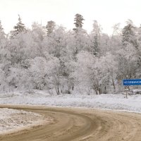 Челябинские водители настолько суровы... :: Борис Емельянычев