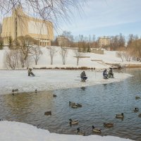 На пруду у Диорамы :: Валентин Котляров