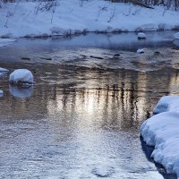 Зеркало для леса :: olgaborisova55 Борисова Ольга