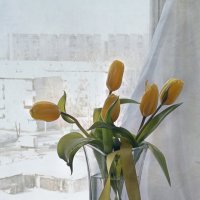 тюльпаны на заснеженном окне. С 8 марта. :: Марина Торопова