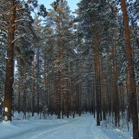 Зима уходящая :: Виктор Четошников