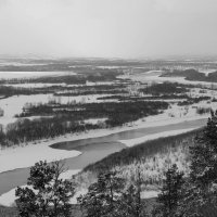 Чёрное и белое :: Радмир Арсеньев