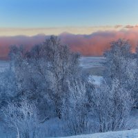 Мороз и солнце :: Oleg Akulinushkin