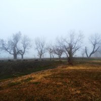 Туман.. :: Виктория Большагина