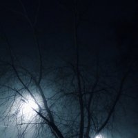 Ночь,улица,фонарь... :: Валерий Стогов