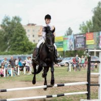 Моя любовь - лошади! :: Дмитрий Пислигин