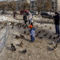 уроки доброты :: gribushko грибушко Николай