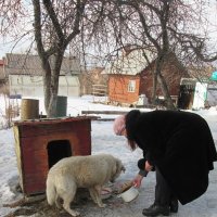 Погуляли, теперь можно и поесть. :: Михаил Попов