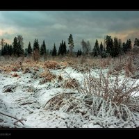 Первый снег. :: Дмитрий Постников