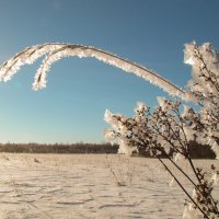 Солнечный луч :: Герман 