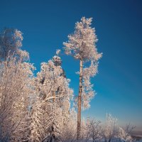 Последний луч заката :: vladimir Bormotov