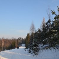 Зимний пейзаж. :: zoja 