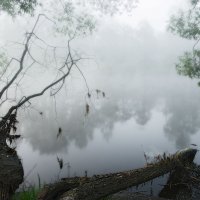 тумана река :: sergej-smv 