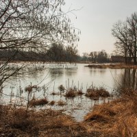 Река Тильза :: Игорь Вишняков