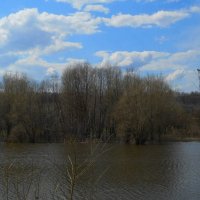 Весны начало :: Галина Медведева