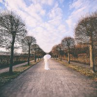 Wedding :: Андрей Копанев