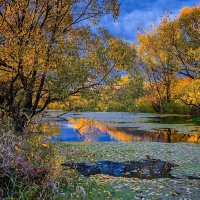 Осень :: Александр Тулупов