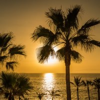 Tenerife.  Sunset :: Aleksandr Papkov