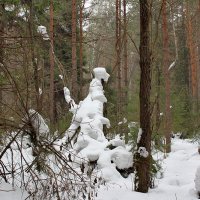 снежные зарисовки в лесу :: Валерий.Талбутдинов, 