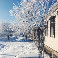 beautiful white winter / прекрасная белая зима :: Настенька Сорокина