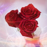 Три красные розы - открытка :: Татьяна Губина
