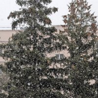 снег 22 марта :: kate grayeyed
