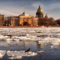 Весна  и  не  отменить :: Владимир Иванов ( Vlad   Petrov)