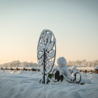 Снеговик в одиночестве .. :: Aleksey Vereev