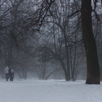 в тумане :: Светлана Соловьева