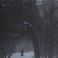 в тумане :: Светлана Соловьева