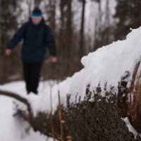 А под ногами пропасть... :: Евгений Торохов