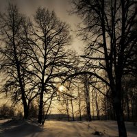 Ольгово (Дмитровский р-н) :: Евгений Жиляев