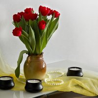 Тюльпаны. :: Elena Klimova