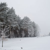 зимний пейзаж :: Константин Рудинский