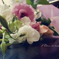 Flowers :: Lena Февраль