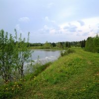 Пруд деревенскй :: Света Слаутина