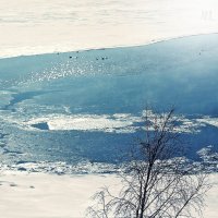 Байкал :: Александра Ивасенко