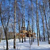 сквозь деревья :: Натали Зимина