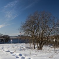 САЭС :: Дмитрий Буданов