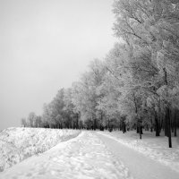 Нижегородский откос :: Александр Табаков