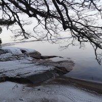 Камень, дерево, вода... :: Светлана Масюкевич