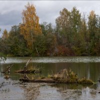 *** :: Сергей Котусов