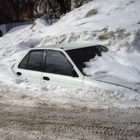 Пришла весна. Скорей бы лето... :: Александр Гурьянов