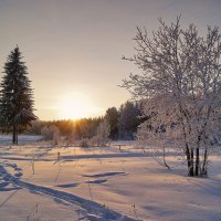 Короткий зимний день :: Наталья Гжельская