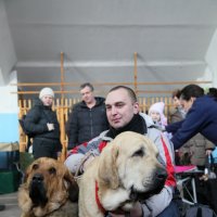 Выставка собак 12.02.2012 :: Андрей Юзеев